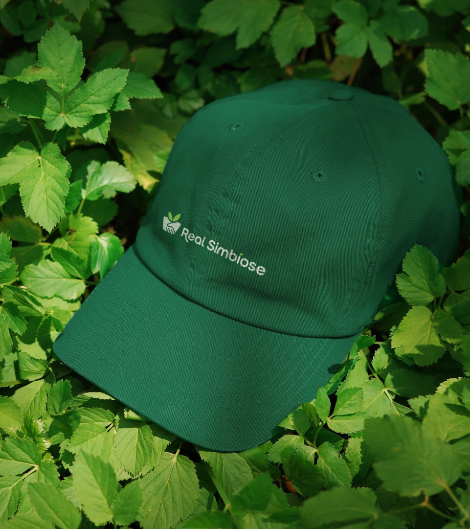 Additional project image 2